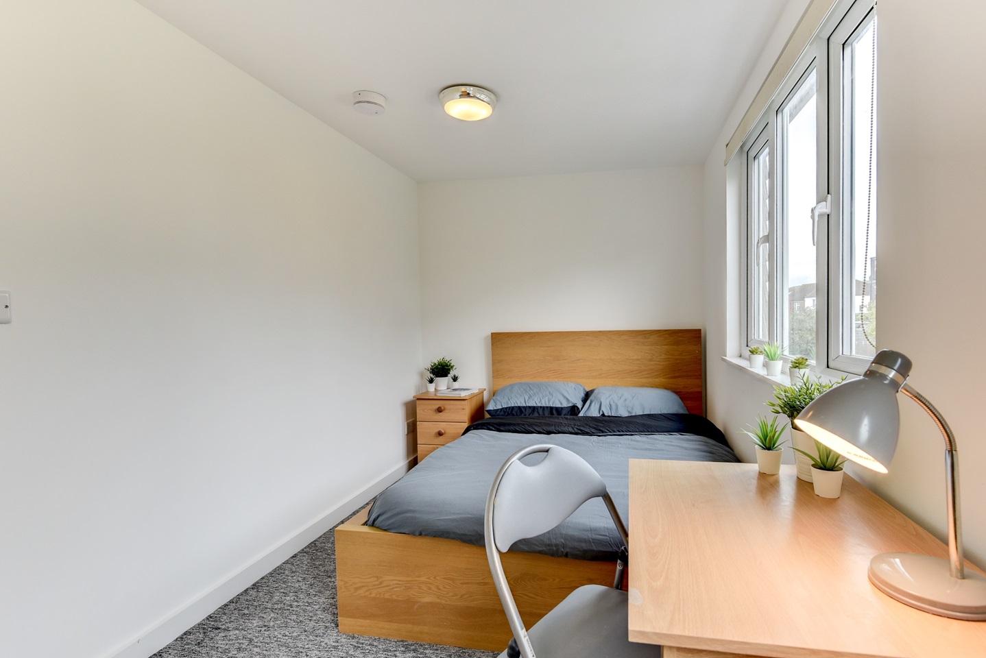 Additional image 21 of 6 Bed Terraced House, Milner Road, BN2, N1 7GU