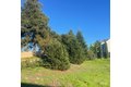 Additional image 21 of 2005 Bracken Ct, Santa Rosa, CA, 95403