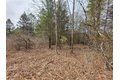 Additional image 12 of Dingman Hill Rd, Bainbridge, NY, 13733