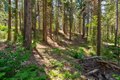 Additional image 33 of 47824 Brammer Purl Rd, Oakhurst, CA, 93644