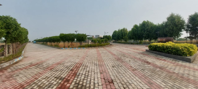 Dholera, Ahmedabad