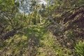 Additional image 29 of 15805 Uvas Rd, Morgan Hill, CA, 95037