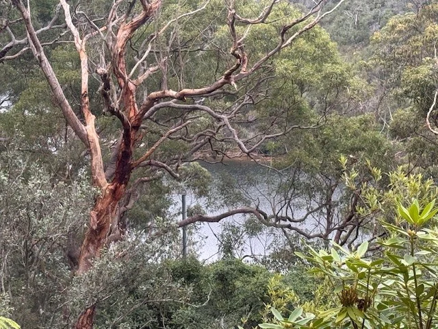 Additional image 16 of 10 Cherry Place, Castle Cove NSW 2069