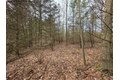 Additional image 13 of Dingman Hill Rd, Bainbridge, NY, 13733