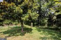 Additional image 52 of 6911 Tommytown Rd, Sharpsburg, MD, 21782