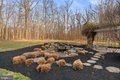 Additional image 78 of 3091 Emerald Valley Rd, Ellicott City, MD, 21042