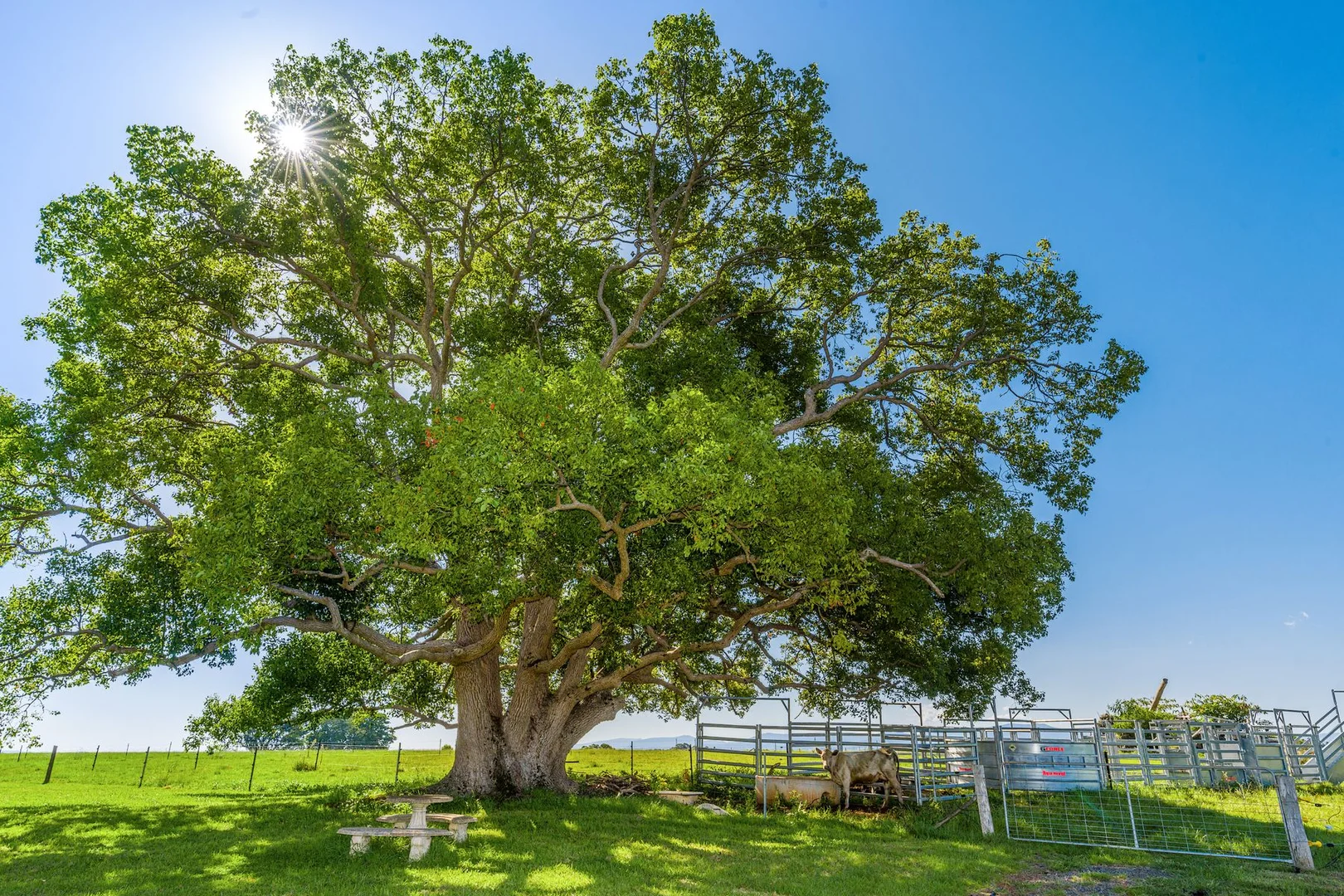 Additional image 18 of 79 Johnston Road, Clunes NSW 2480