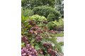 Additional image 36 of 303 Nahant Rd, Nahant, MA, 01908