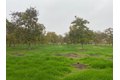Additional image 3 of 10201 E Fairchild Rd, Stockton, CA, 95215