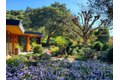9 Story Rd, Carmel Valley, CA, 93924