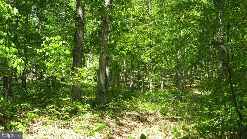 Orchard Lane, Moorefield, WV 26836