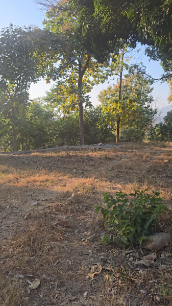 Additional image 3 of Thano, Dehradun
