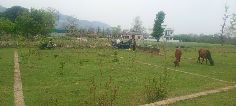 Additional image 3 of Raipur, Dehradun