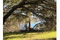 Additional image 5 of 15805 Uvas Rd, Morgan Hill, CA, 95037