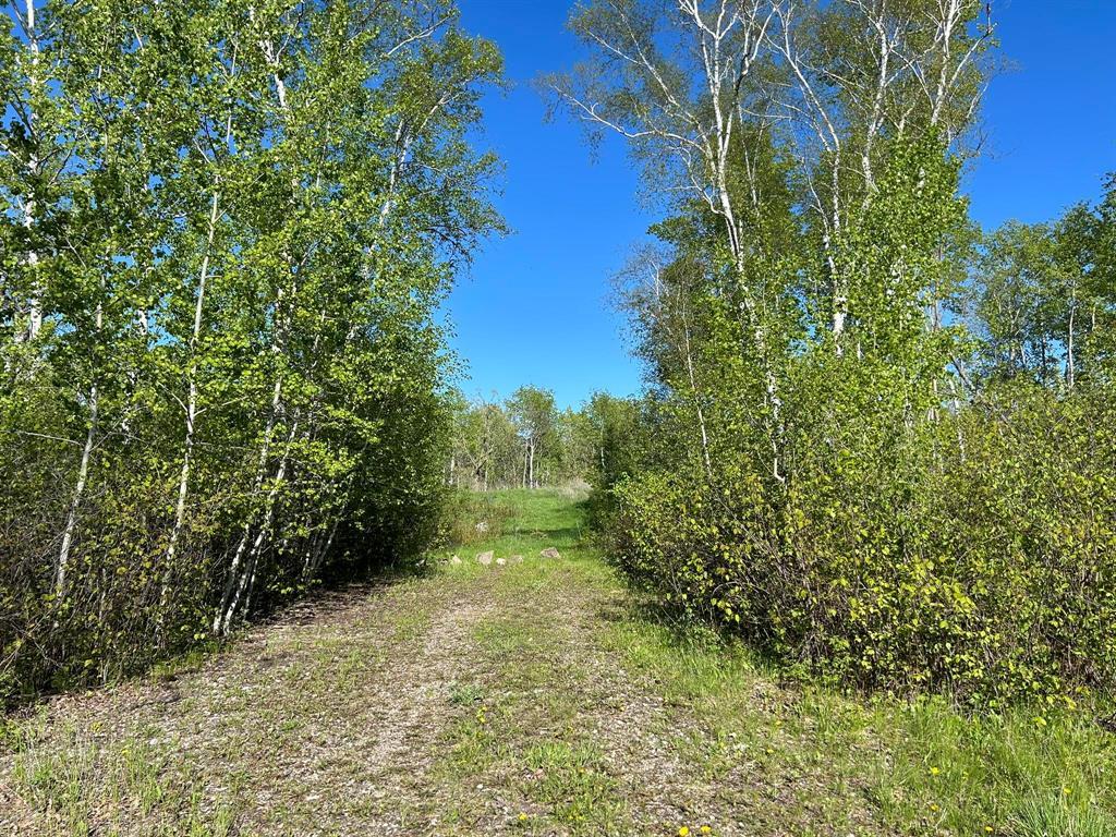 7 NIA QUAY Trail