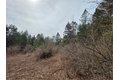 Additional image 9 of Dingman Hill Rd, Bainbridge, NY, 13733