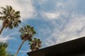 Additional image 18 of 262 N Los Robles Ave, Pasadena, CA, 91101