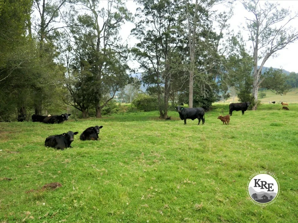 Additional image 2 of 35 Phelps Road, Kyogle NSW 2474