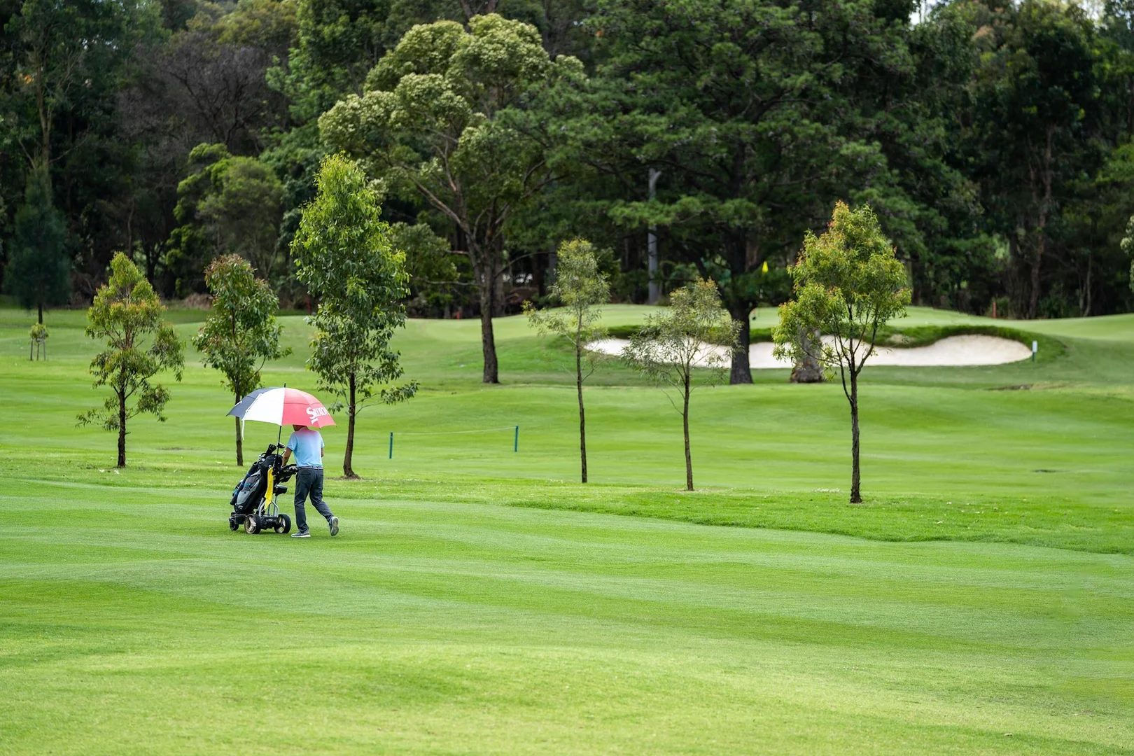 Additional image 17 of A703/86 Centenary Drive, Strathfield NSW 2135