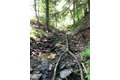 Dingman Hill Rd, Bainbridge, NY, 13733