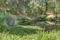 Additional image 91 of 13118 Cement Hill Rd, Nevada City, CA, 95959