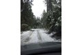 Additional image 37 of 15610 Nopel Rd, Forest Ranch, CA, 95942