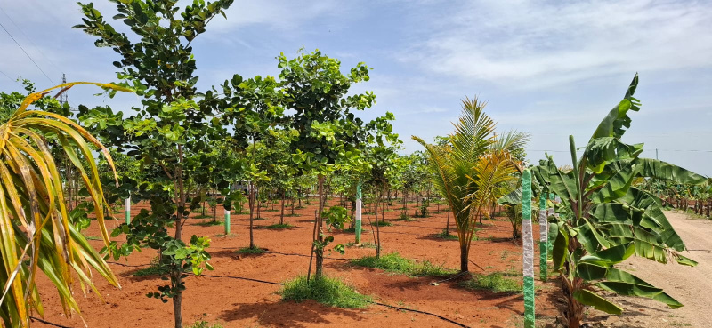 Madhurandagam, Chennai