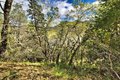 Additional image 24 of 15805 Uvas Rd, Morgan Hill, CA, 95037