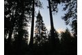 Additional image 3 of 15610 Nopel Rd, Forest Ranch, CA, 95942