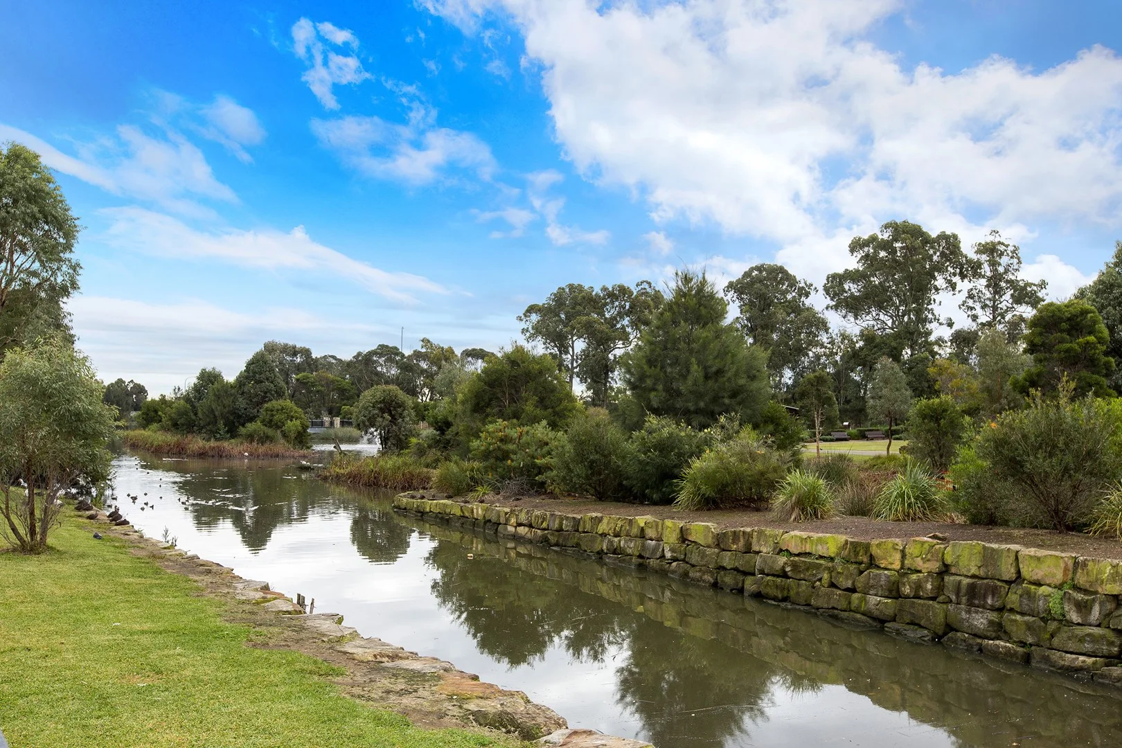 Additional image 6 of 213/1 Vermont Crescent, Riverwood NSW 2210