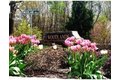 2311 Briarwood Vlg Unit 2311, Clinton, MA, 01510