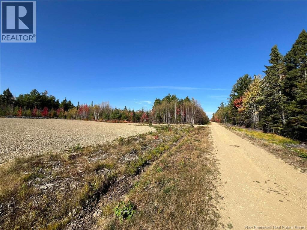 25.44 acres Ben Allain Street