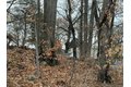 Additional image 33 of 54 Agnes St, Bridgeport, CT, 06606