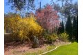 Additional image 58 of 101 Tradewinds Rd, Oak Bluffs, MA, 02557