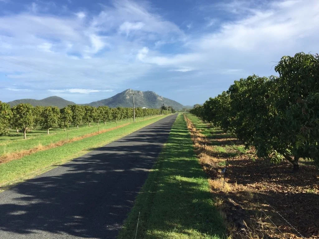 Bowen QLD 4805