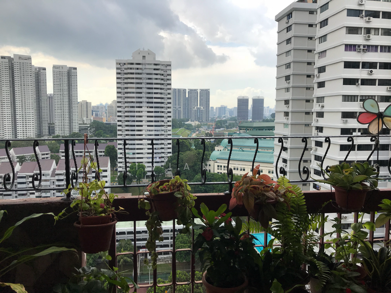 10 Braddell Hill photo 3