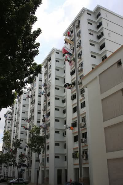 Additional image 9 of 175 Woodlands Street 13