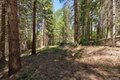 Additional image 35 of 47824 Brammer Purl Rd, Oakhurst, CA, 93644