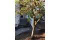 Additional image 5 of 3150 S 3rd Way, Ridgefield, WA, 98642
