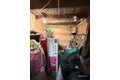 Additional image 21 of 135 Newell Ave, Bristol, CT, 06010
