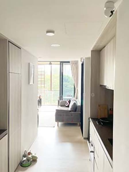 11 Balmoral Road photo 4