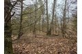 Additional image 15 of Dingman Hill Rd, Bainbridge, NY, 13733