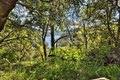 Additional image 15 of 15805 Uvas Rd, Morgan Hill, CA, 95037