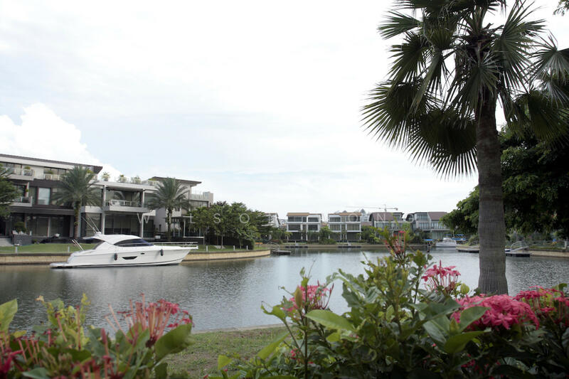 Paradise Island photo 2
