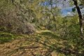Additional image 23 of 15805 Uvas Rd, Morgan Hill, CA, 95037