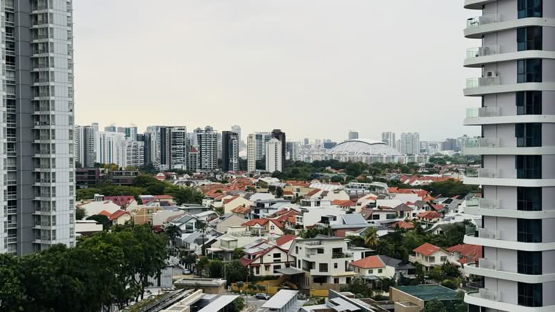 9 Amber Road photo 5
