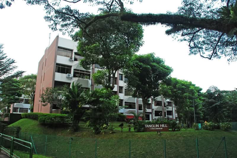 Additional image 21 of 7A Tanglin Rise