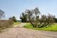 Additional image 23 of Barondole Lane, Topcroft, Bungay, Norfolk, NR35
