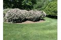 Additional image 78 of 31470 N Reigate Ln, Libertyville, IL, 60048