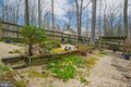 Additional image 46 of 13008 Dulaney Valley Rd, Glen Arm, MD, 21057